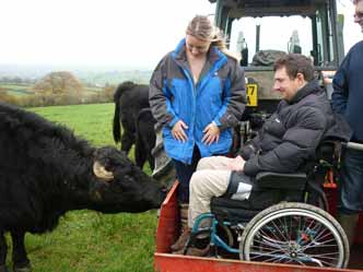 Wheelchair user meeting the cows